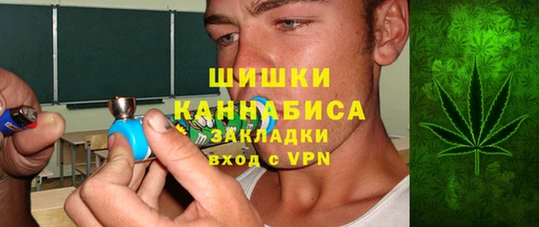 гидра Арсеньев