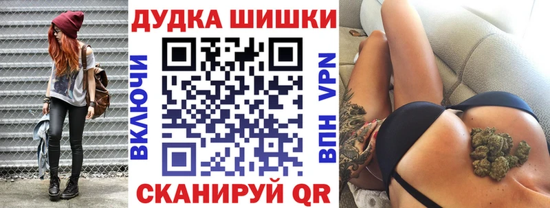 Канабис планчик  наркота  Монино 